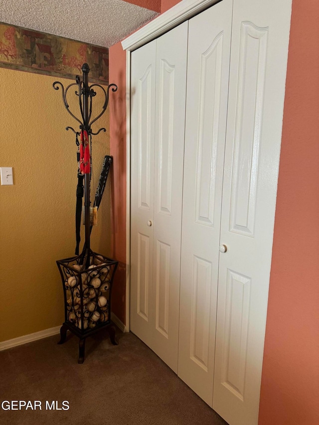 interior space featuring a closet, a textured ceiling, and carpet floors