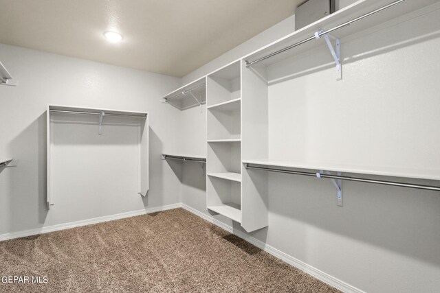 walk in closet featuring carpet