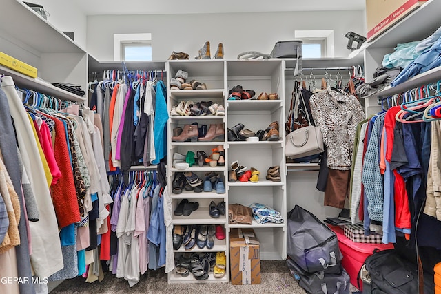 walk in closet with carpet floors