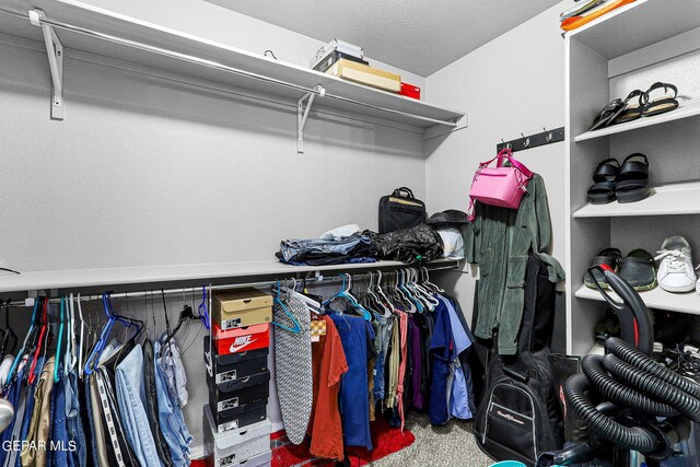 spacious closet featuring carpet