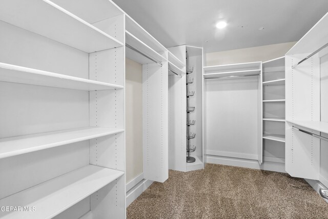 walk in closet featuring carpet floors