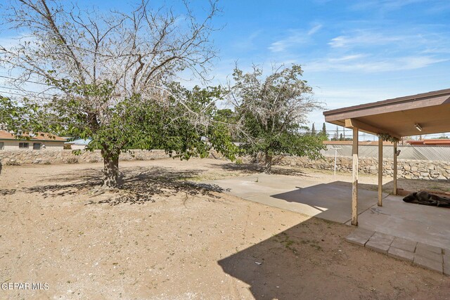 view of yard featuring a patio area