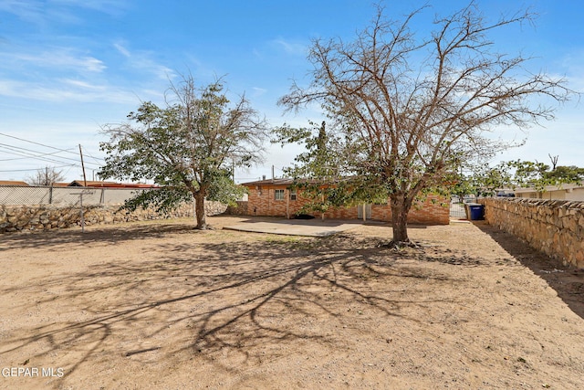 view of yard featuring a patio