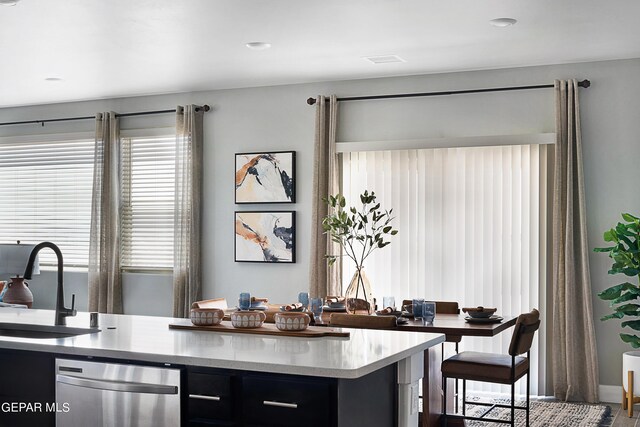 interior space featuring dishwasher, sink, and plenty of natural light