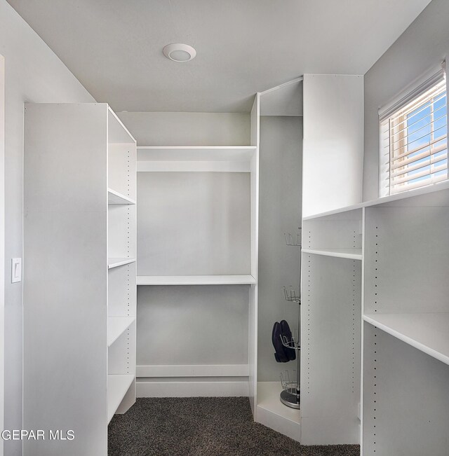 walk in closet featuring dark carpet