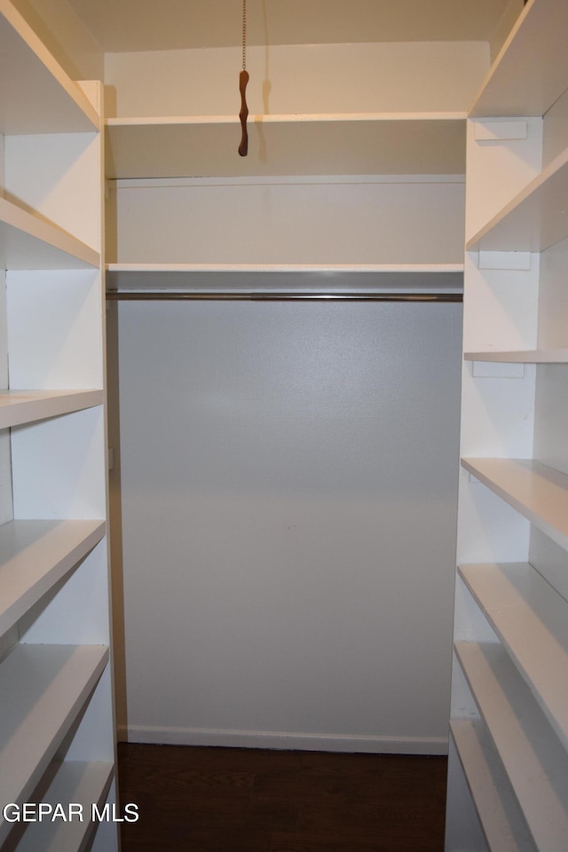 walk in closet featuring dark hardwood / wood-style floors