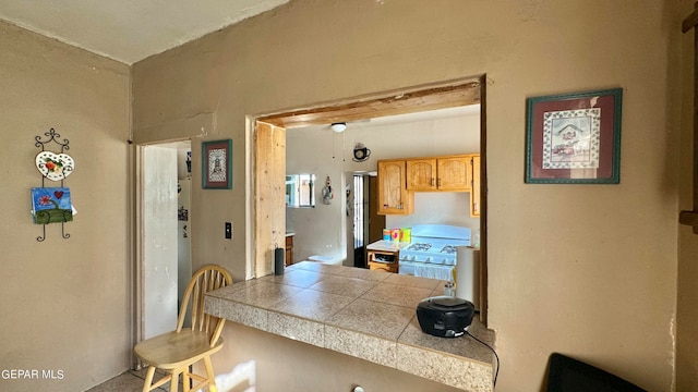 kitchen featuring white gas stove