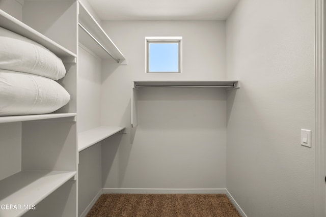 walk in closet featuring dark carpet