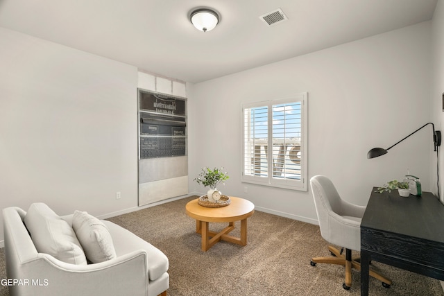 home office with carpet floors