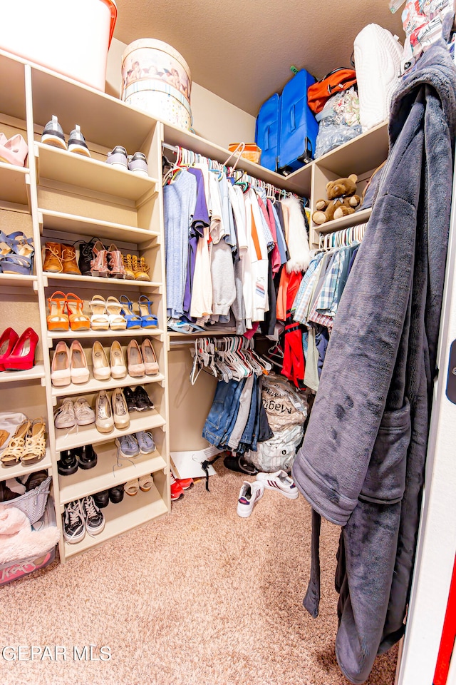 spacious closet with carpet flooring