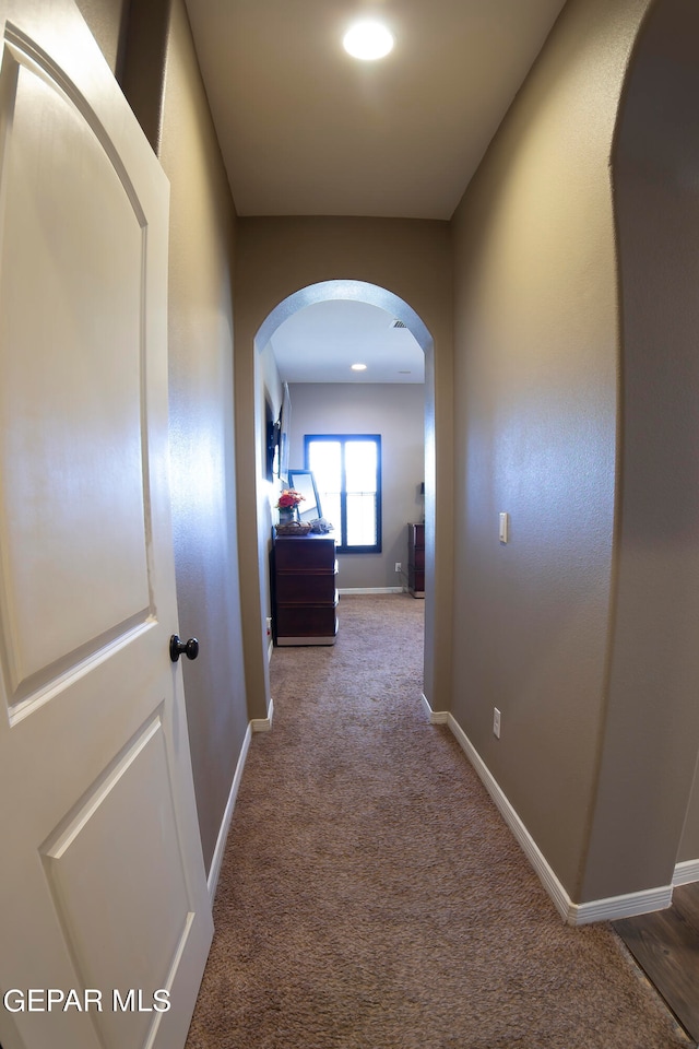 hallway featuring carpet floors