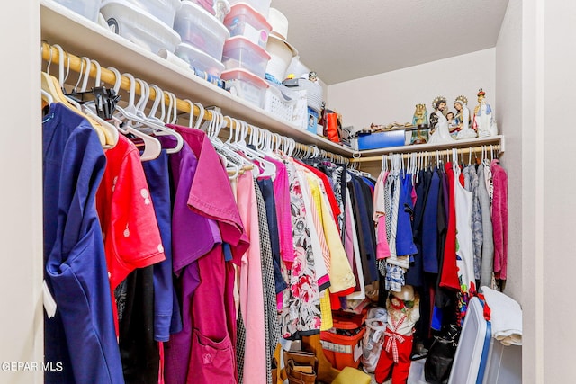 view of spacious closet