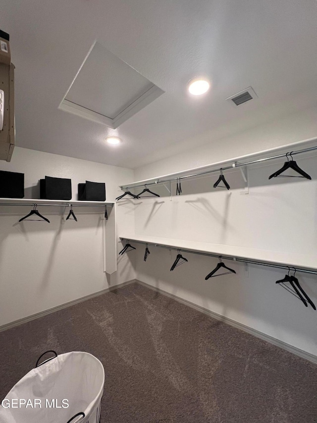 12832 Star Gaze Ave, El Paso, TX 79928 - spacious closet with carpet and attic access