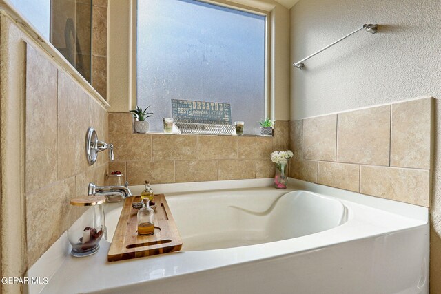 bathroom featuring a bathing tub