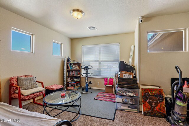 living area with carpet flooring