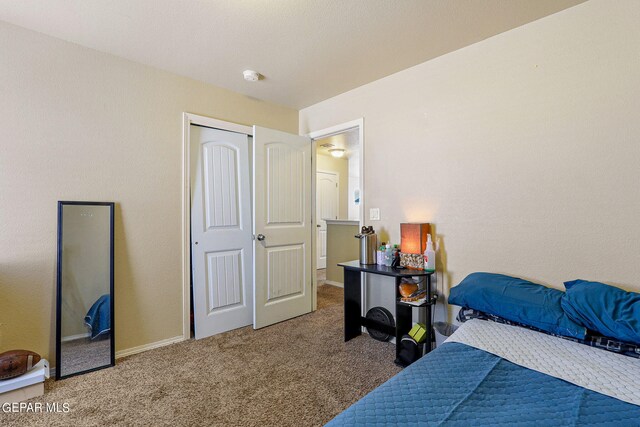 bedroom featuring carpet floors