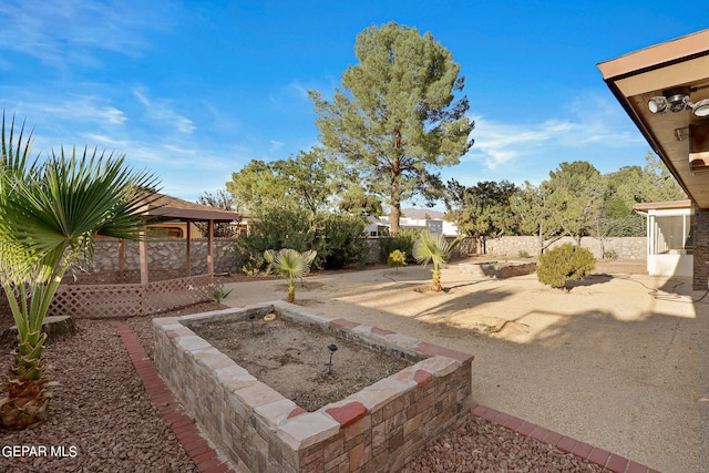 view of yard featuring a patio