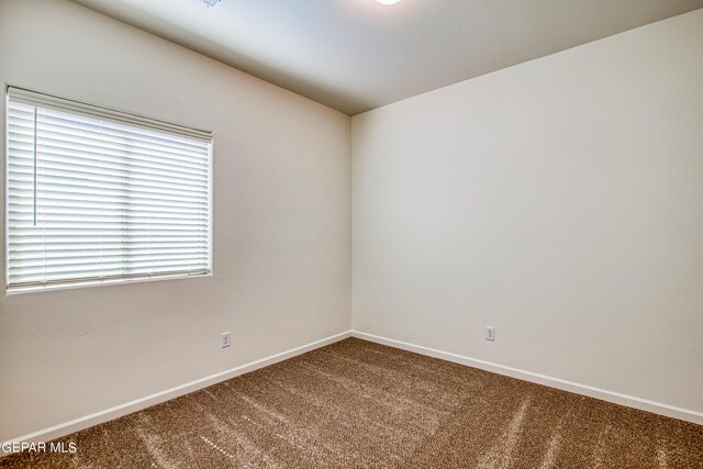 spare room featuring carpet flooring