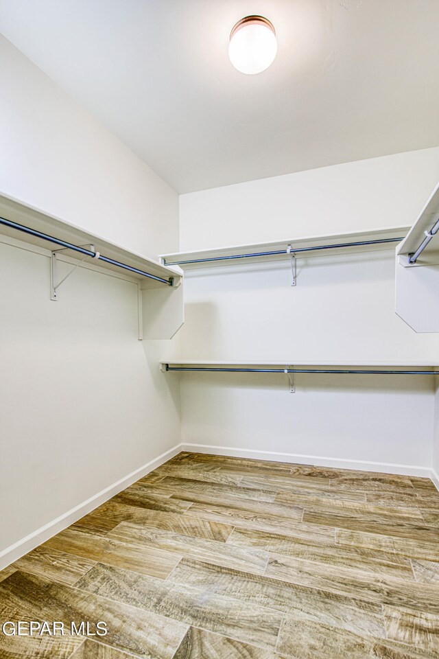 spacious closet with wood-type flooring