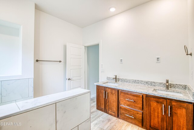 bathroom featuring wood-type flooring and vanity