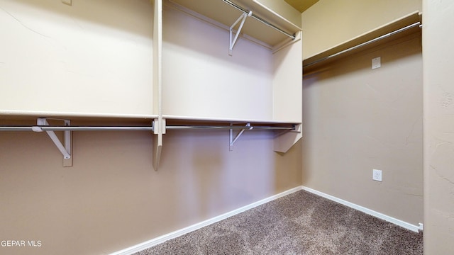 spacious closet with carpet flooring