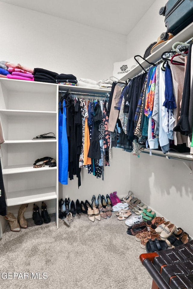 spacious closet with carpet