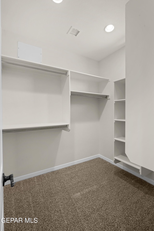 walk in closet with carpet