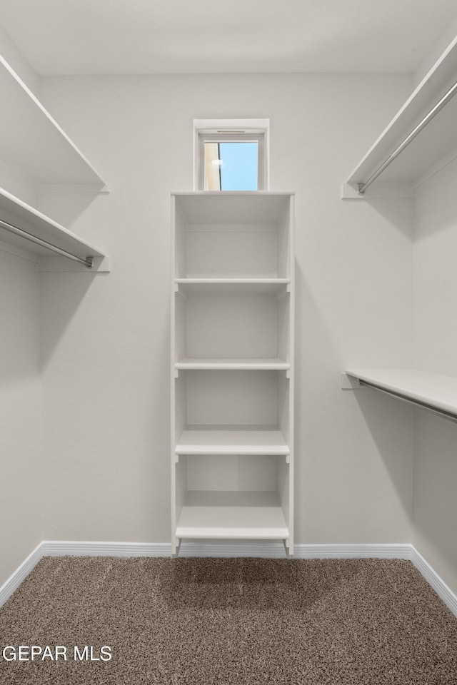 walk in closet featuring carpet