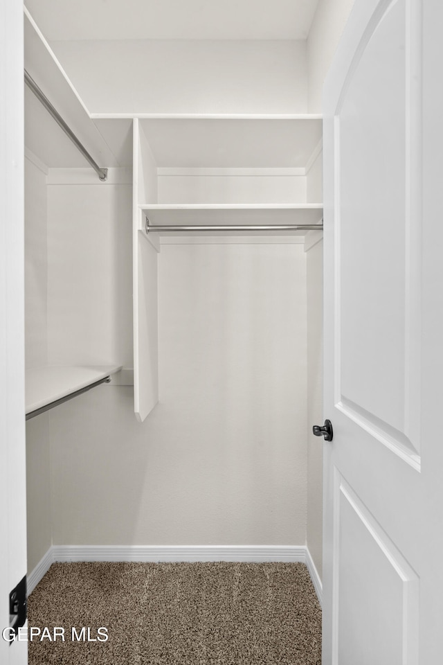 spacious closet featuring carpet flooring