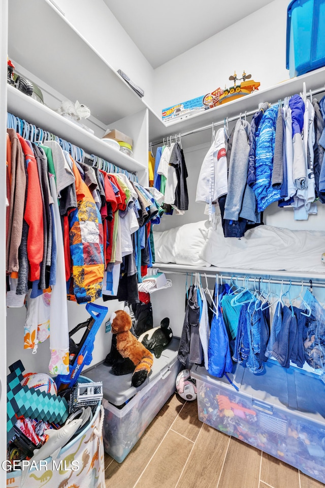 spacious closet featuring wood-type flooring