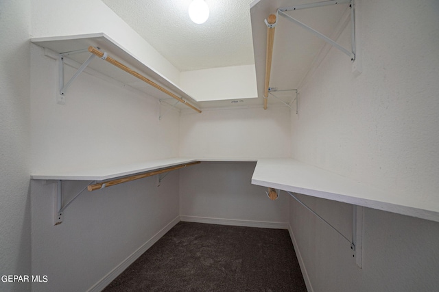 spacious closet featuring dark carpet