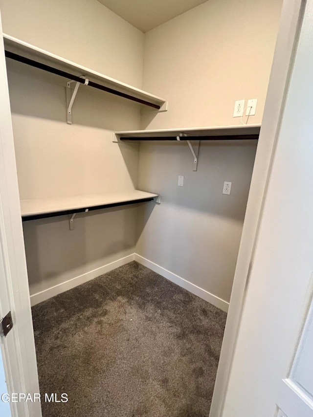 walk in closet featuring dark colored carpet