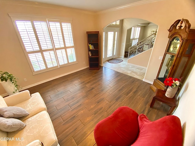 living room with ornamental molding and dark hardwood / wood-style floors