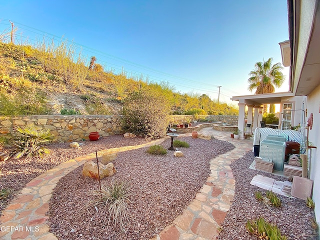 view of yard featuring a patio