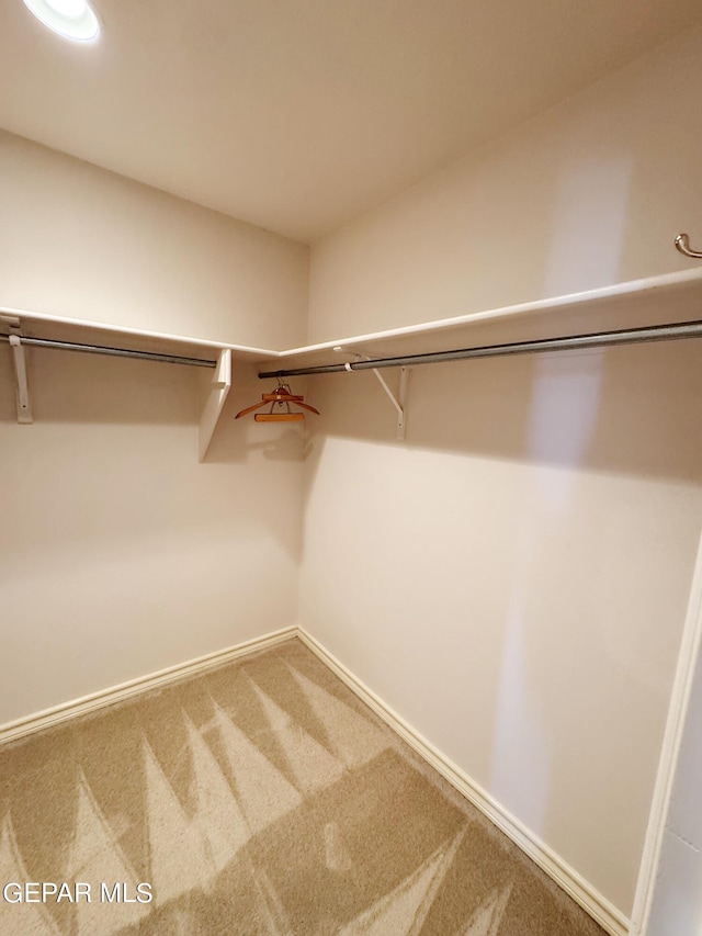 spacious closet featuring carpet