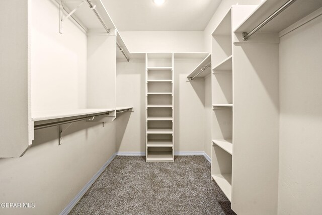 spacious closet with carpet