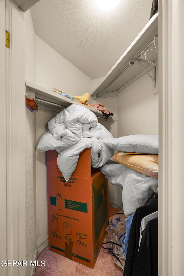 walk in closet with carpet floors