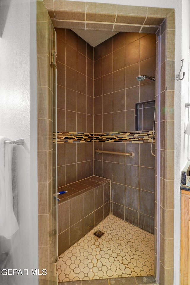851 Via Alegre Ln, El Paso, TX 79912 - full bathroom with a stall shower