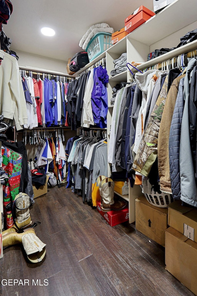 spacious closet featuring dark wood-type flooring