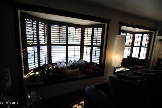 living room featuring a wealth of natural light