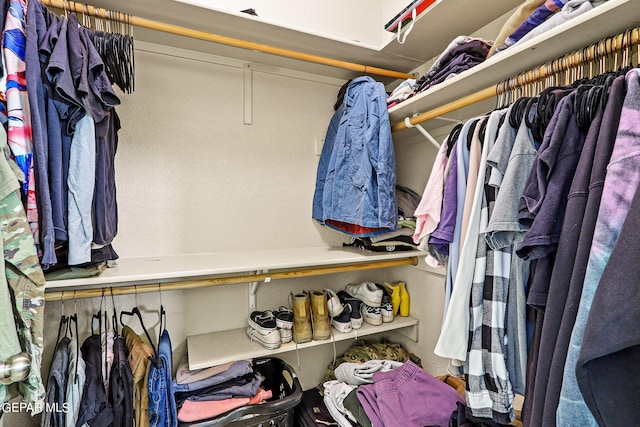 view of spacious closet