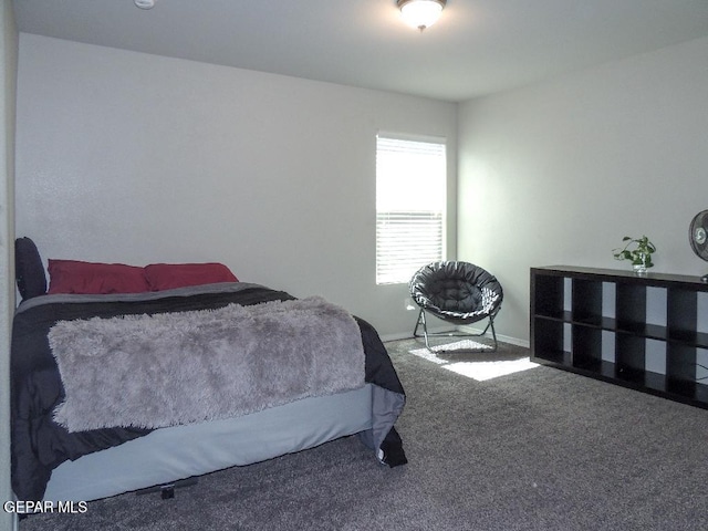 bedroom with carpet flooring