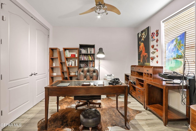 office featuring ceiling fan and light hardwood / wood-style flooring