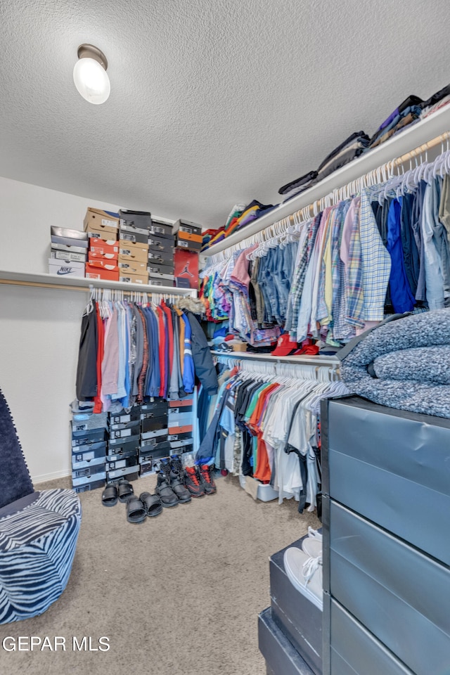 spacious closet featuring carpet flooring