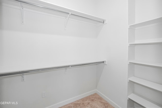 walk in closet with light colored carpet