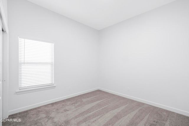 spare room with carpet