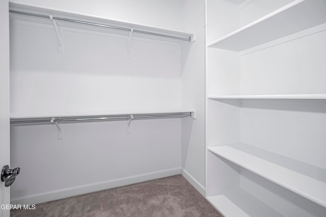 walk in closet featuring light colored carpet