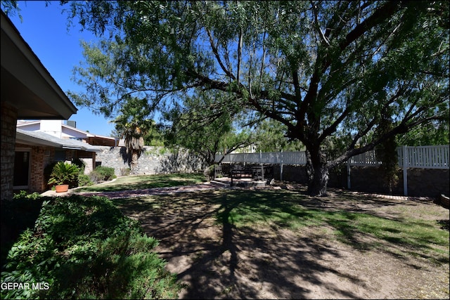 view of yard with a patio area