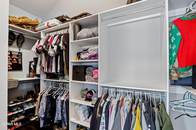 view of walk in closet