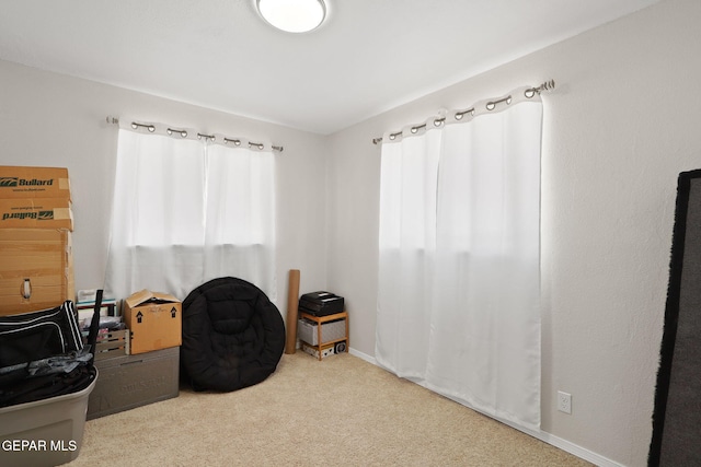 miscellaneous room featuring baseboards and carpet floors